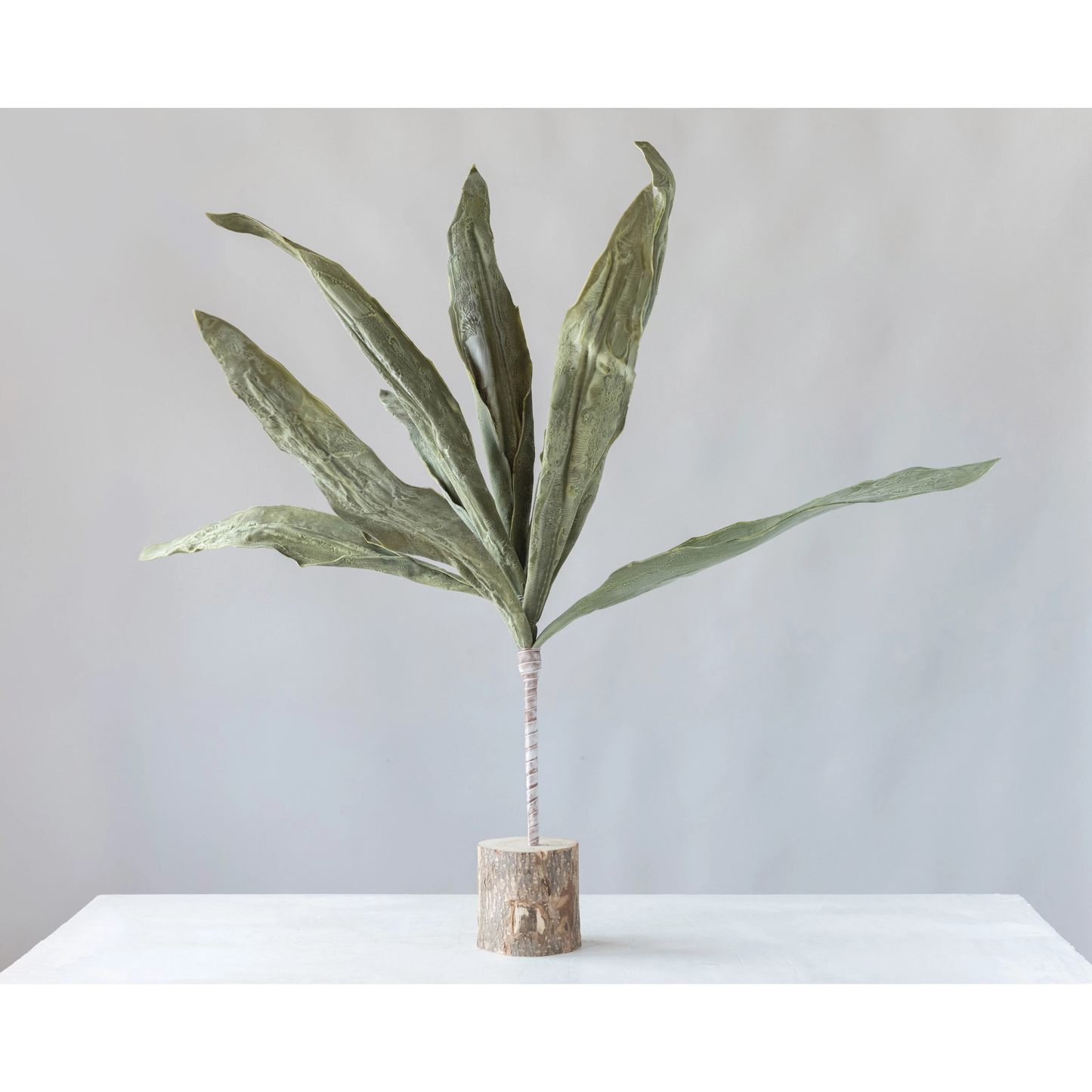 Leaf Stem