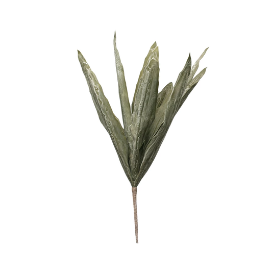 Leaf Stem
