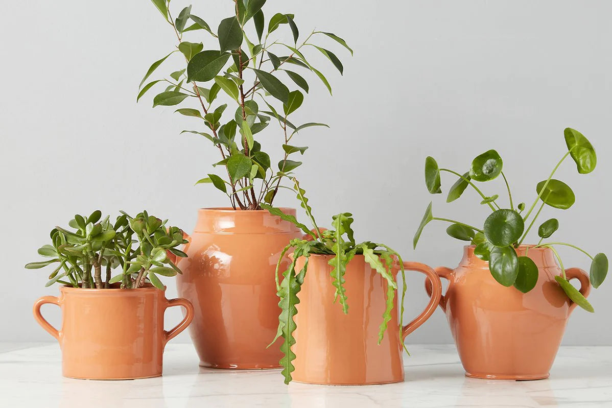 Large Terracotta French Confit Pot