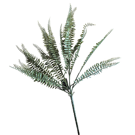 18' Powdered Fern Bush